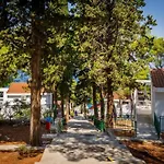 Lumbarda Resort Apartments Daire