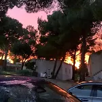 Lumbarda Resort Apartments
